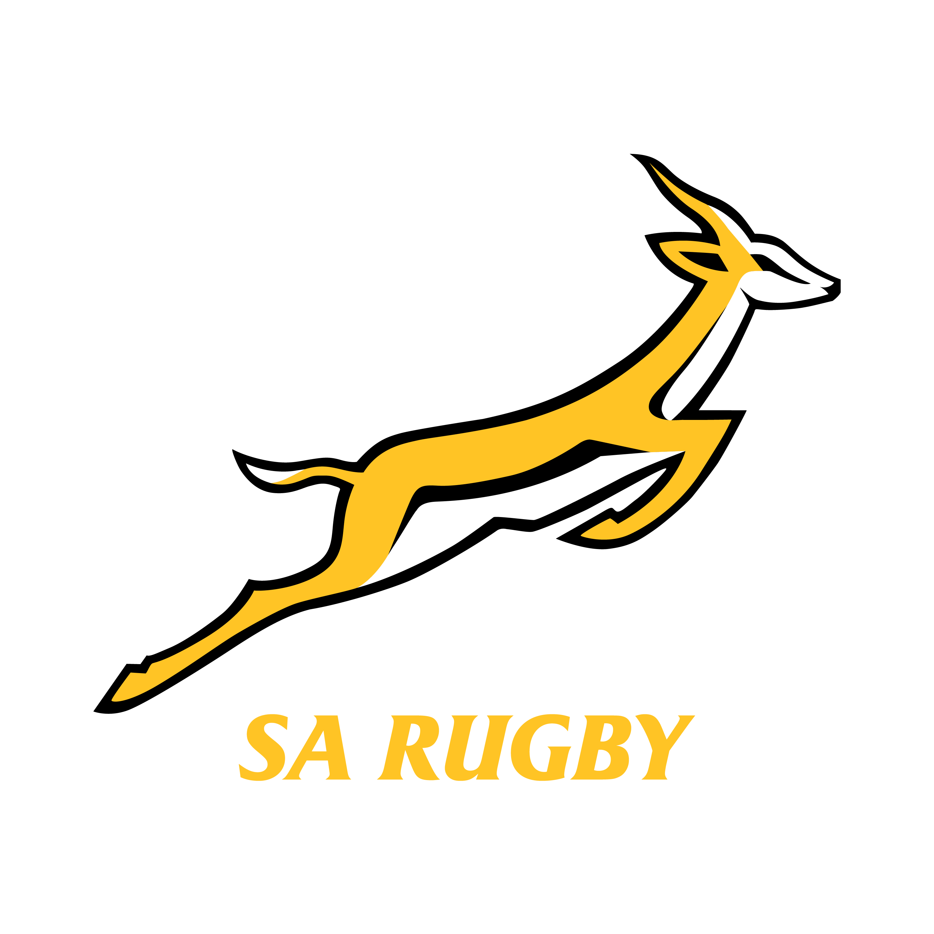 Springboks | SA Rugby