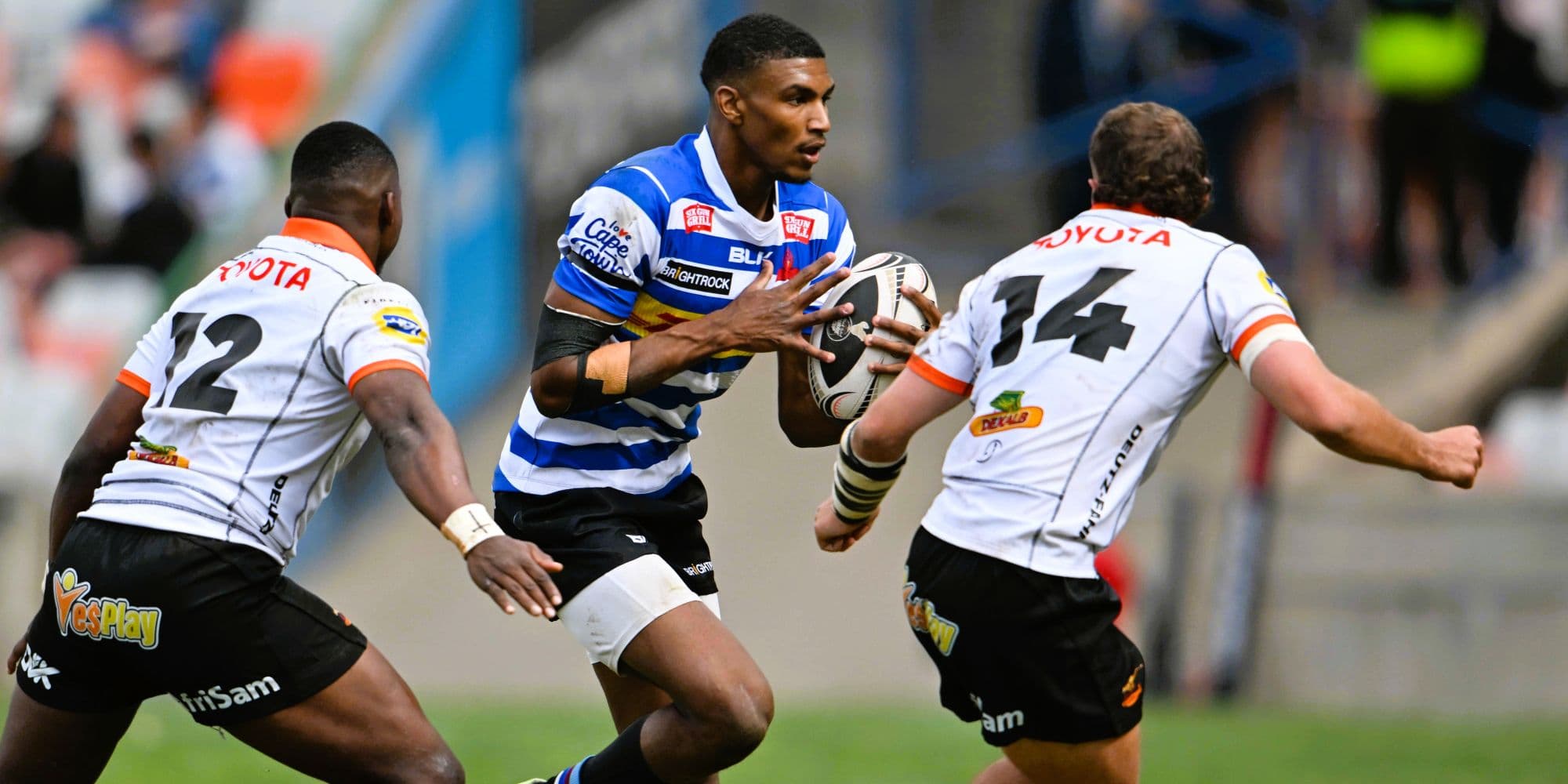WP and Bulls to host SA U21 Cup semi-finals