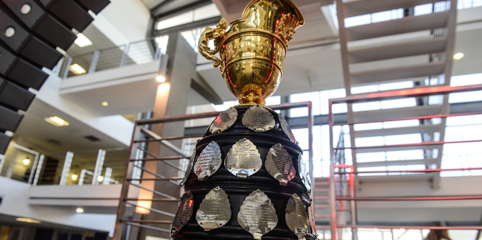 The 2023 Currie Cup Bulletin #31 – Finals Edition