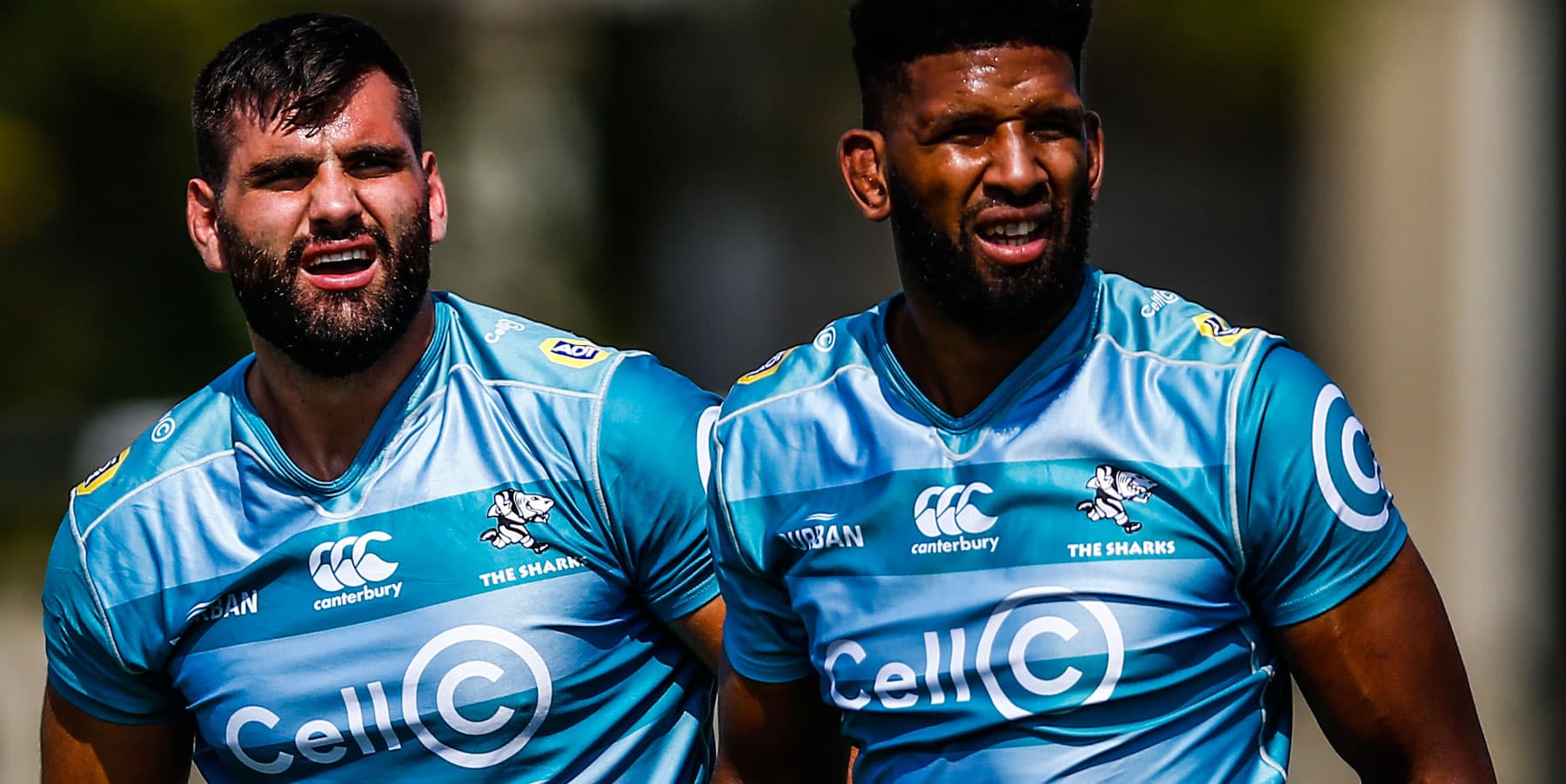 Sharks name squad of 34 for URC trip to Europe