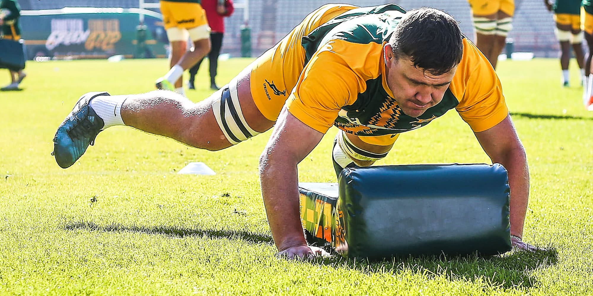 Wiese thrilled to be back with Boks along with his brother