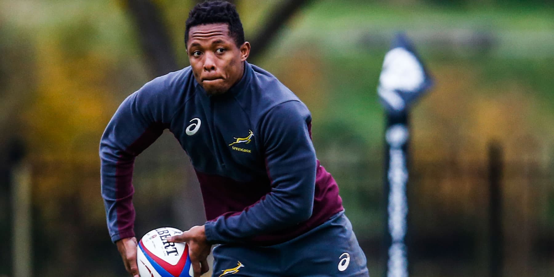 Nkosi and Fassi released from Springbok camp