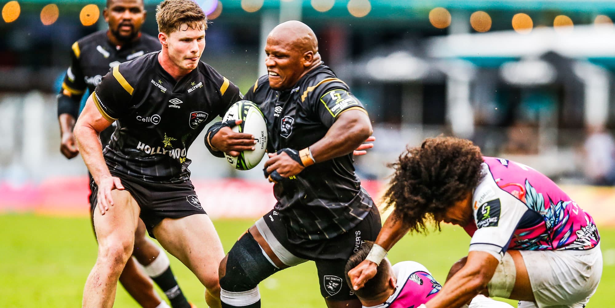 Bulls and Sharks out to make history in Europe