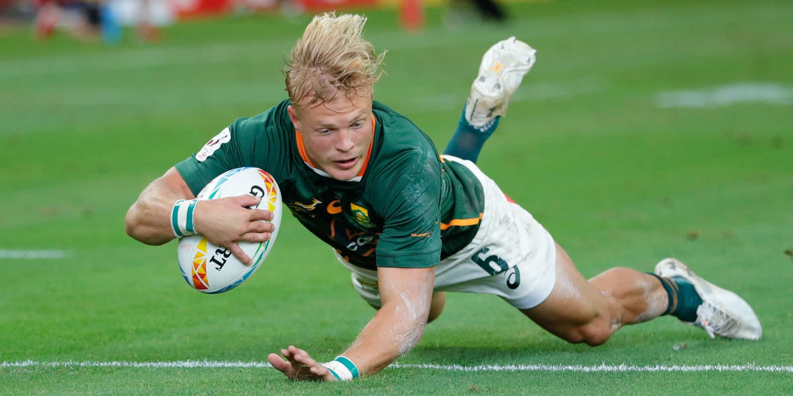 Blitzbok butterflies in Hong Kong 