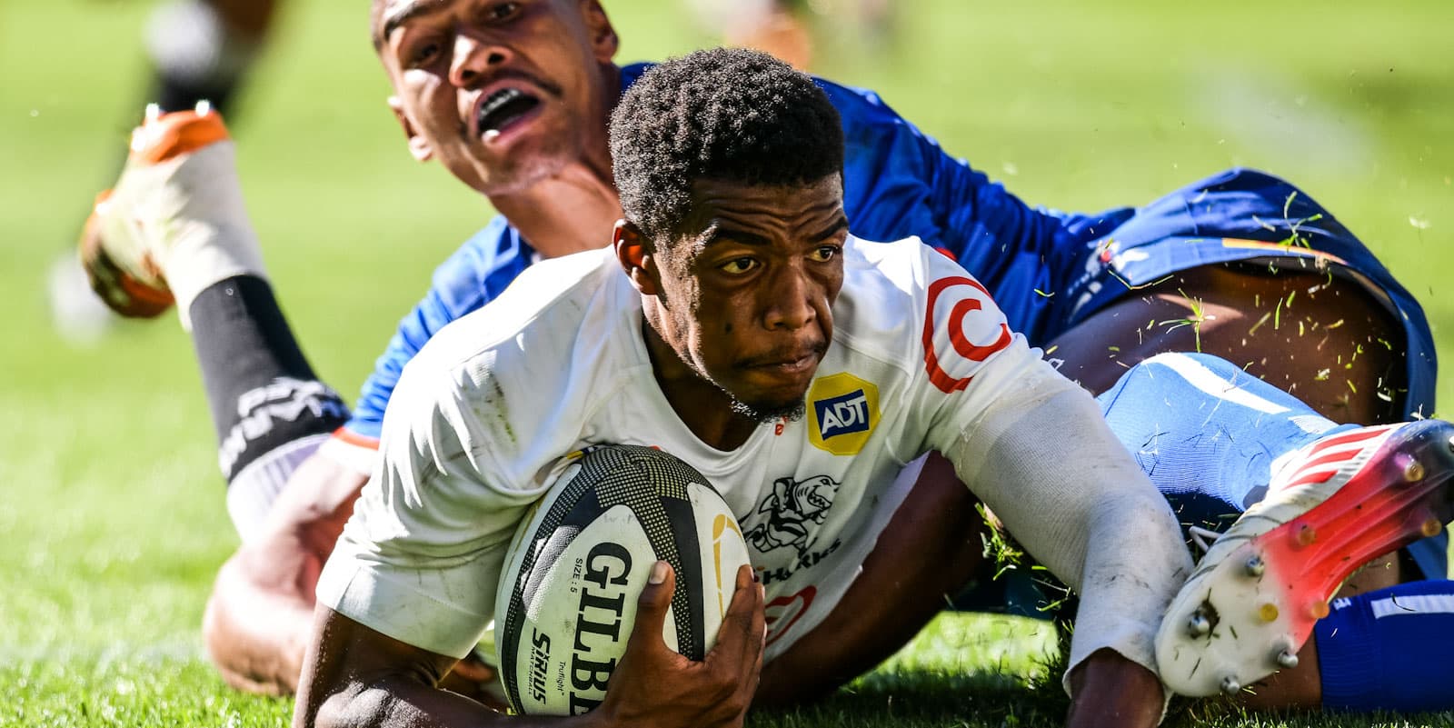 Rainbow Cup SA: Sharks and Bulls on top in Round 1