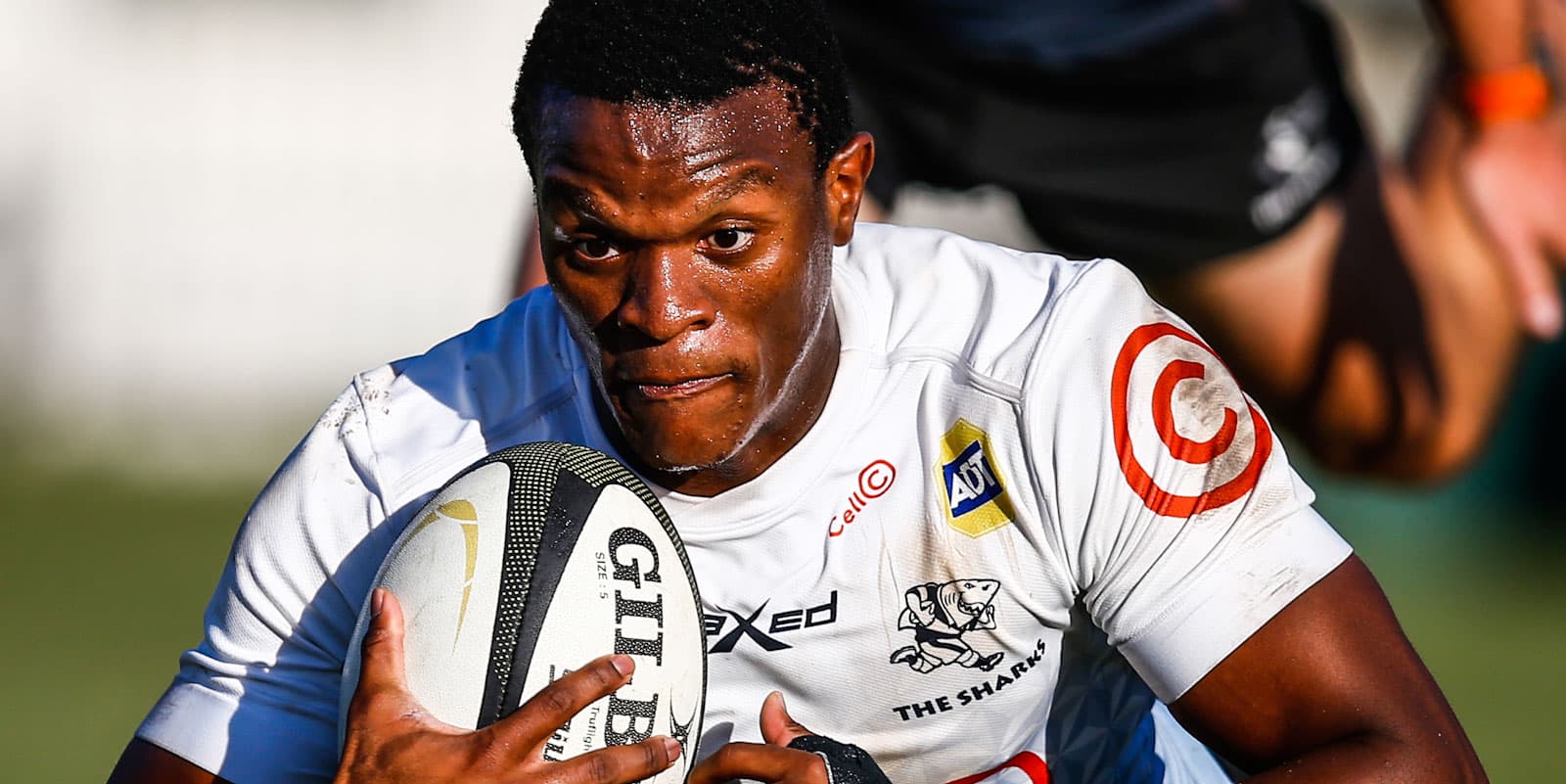 Sharks welcome back their captain for Lions clash