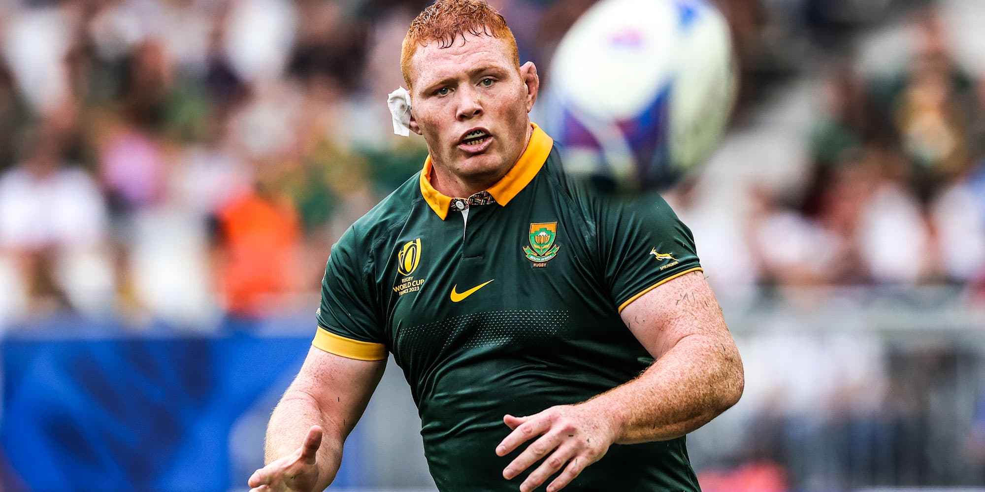 Springboks ready to give everything against Ireland