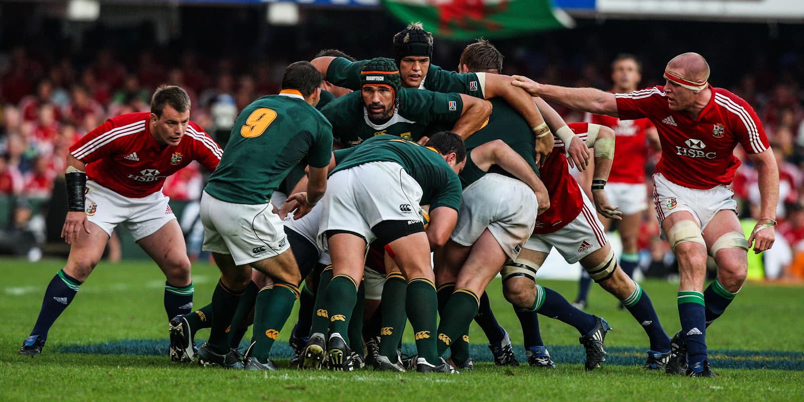 Affordable and available – Lions tour tickets go on sale