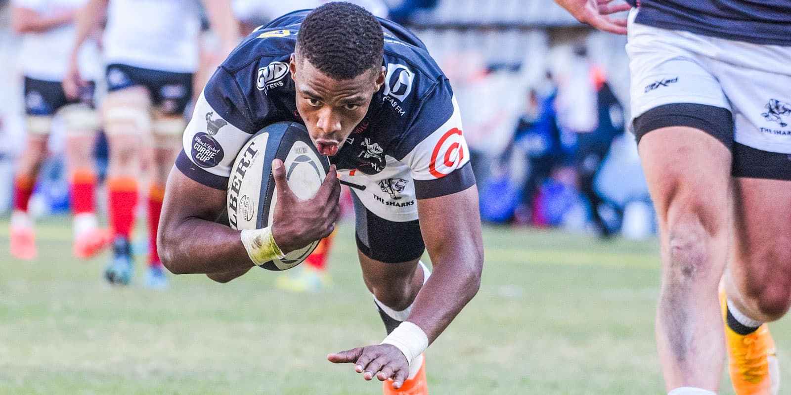 Grant Williams called up to Springbok squad