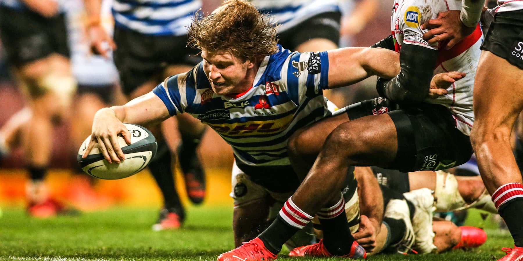WP knock Lions out of Carling Currie Cup race