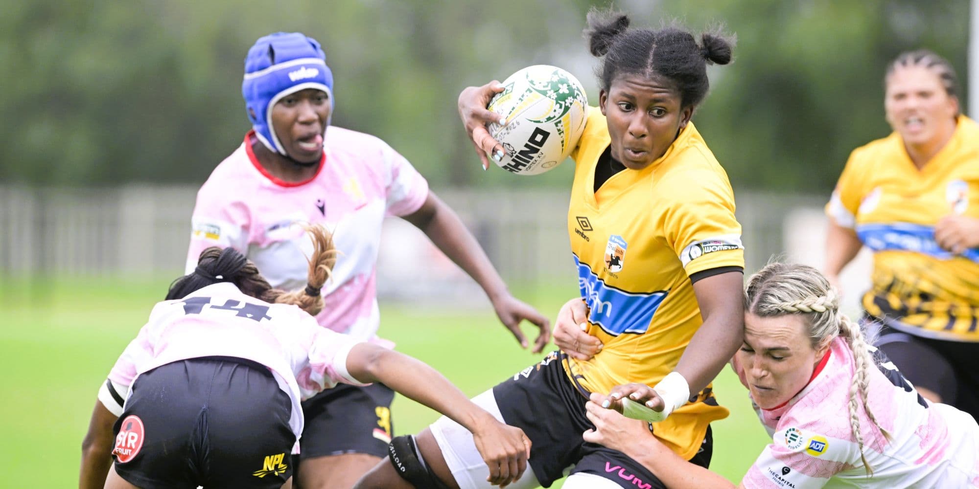 Daisies in full bloom as Dames and WP keep final hopes alive
