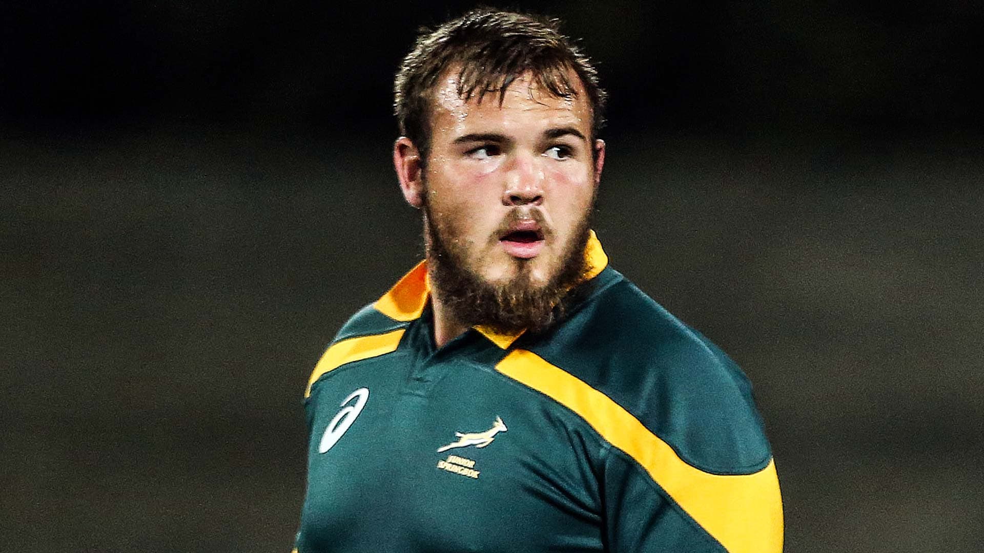 Springbok squad boosted by new arrivals