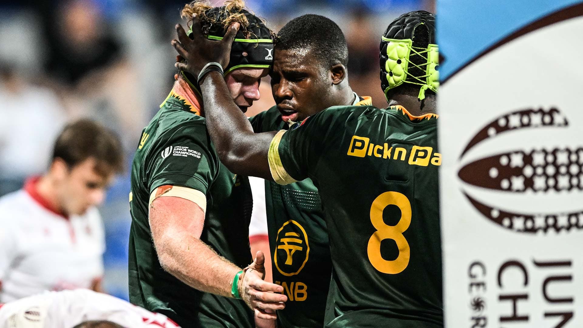 Foote praises Junior Bok composure against physical Georgians