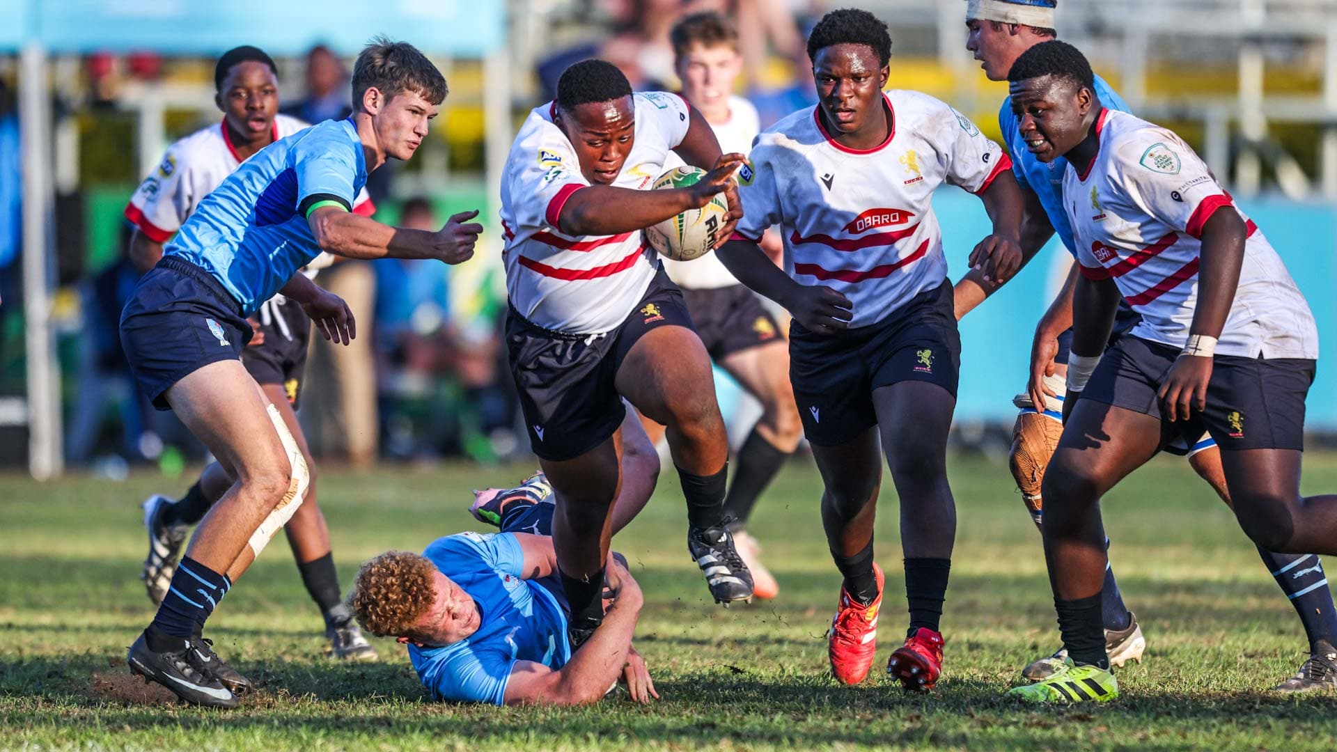 Lions fightback floors Bulls in thrilling Grant Khomo Week finale