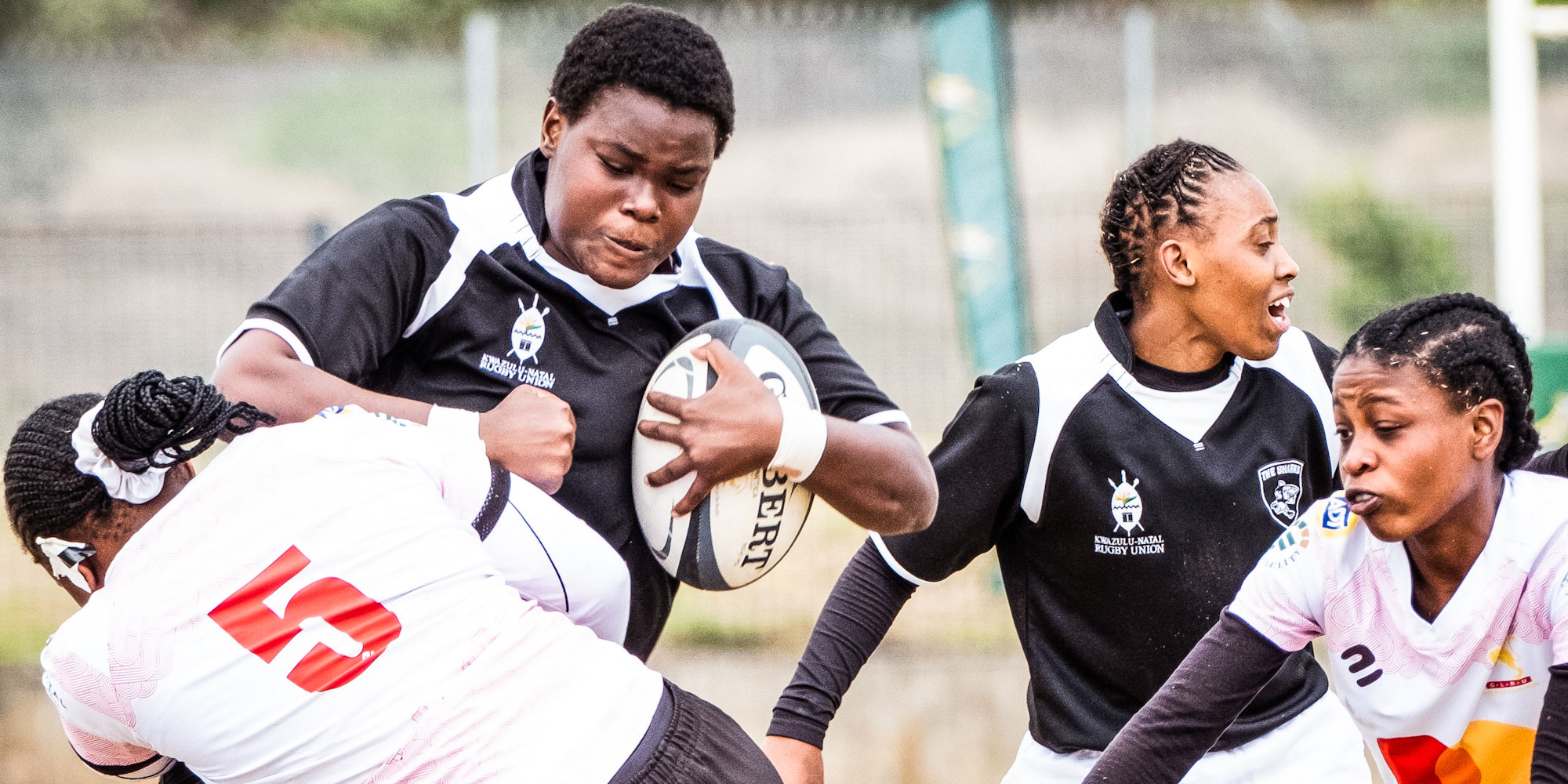 The Golden Lions stopped the Sharks in their tracks on Wednesday.