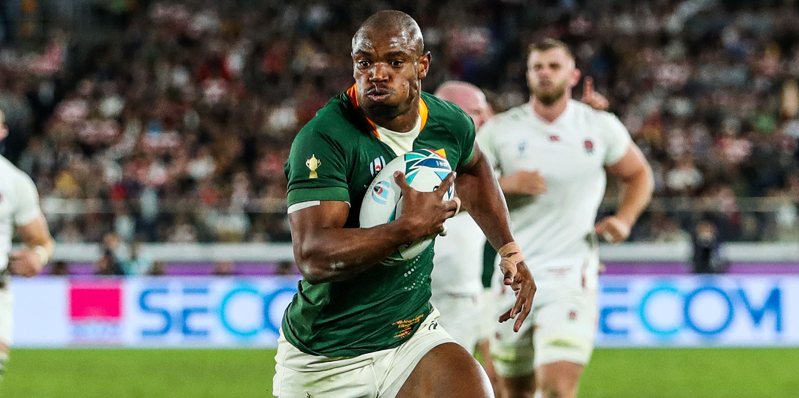 Springboks Crowned 2019 RWC Champions | SA Rugby