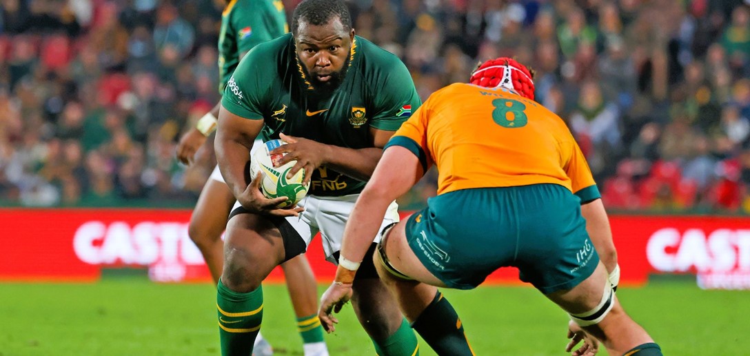 Springboks | SA Rugby