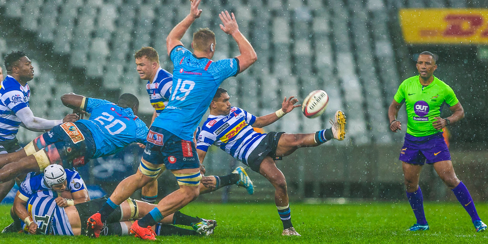 Cats, dogs, DHL WP and the Vodacom Bulls in Cape Town.