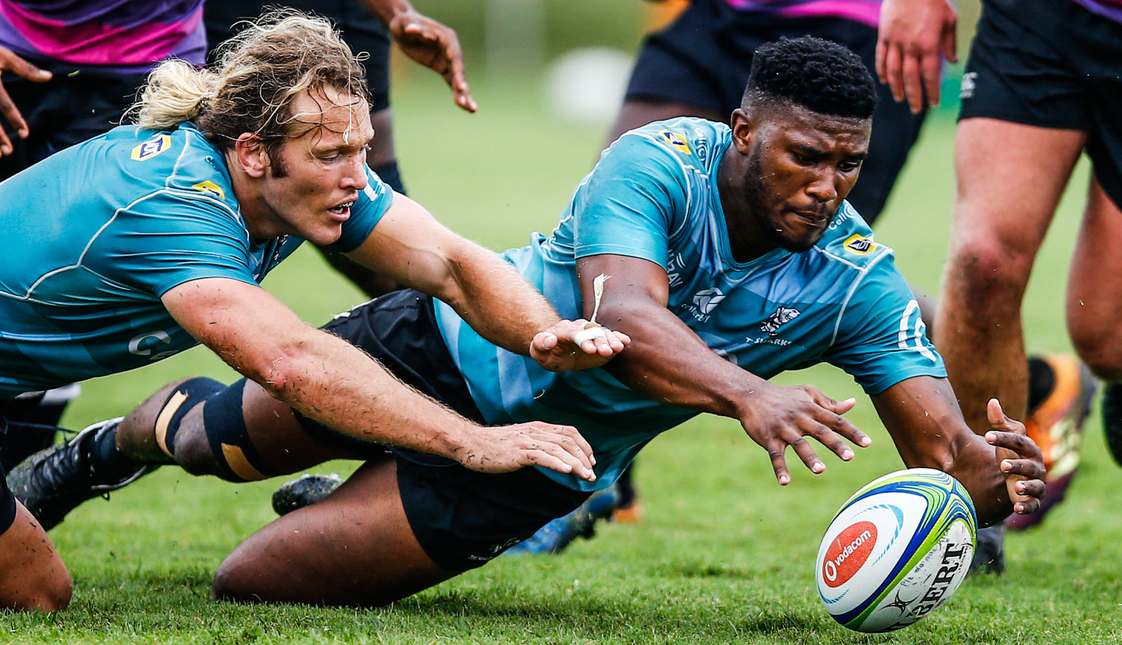 Werner Kok and Celimpilo Gumede will both make their Cell C Sharks debuts on Friday.