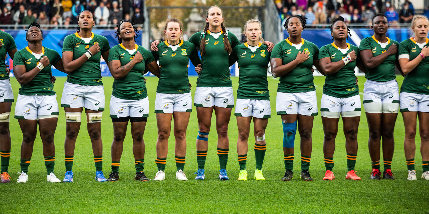 Women's springbok hot sale jersey