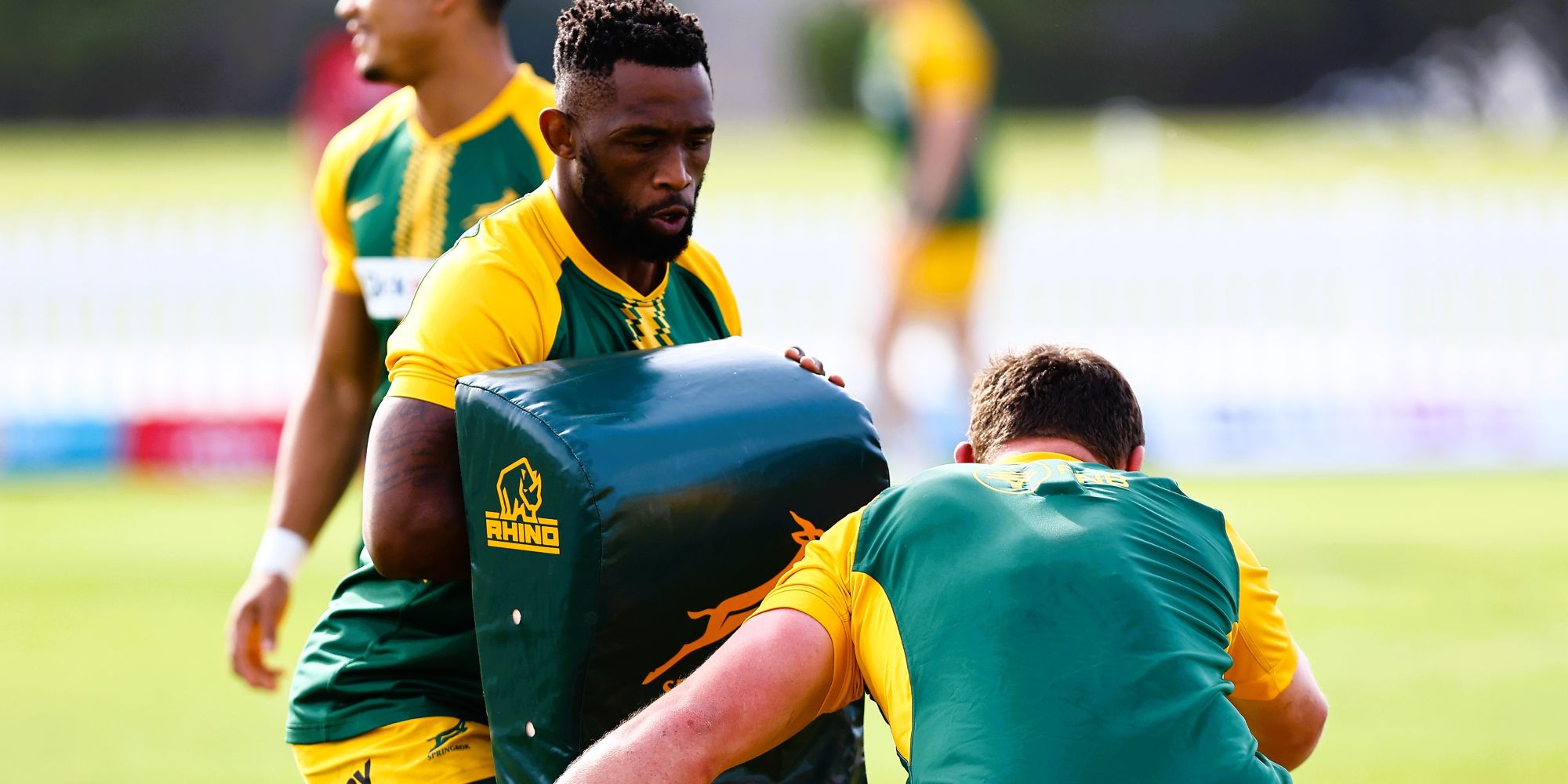 Siya Kolisi is back in green and gold for the first time this year.